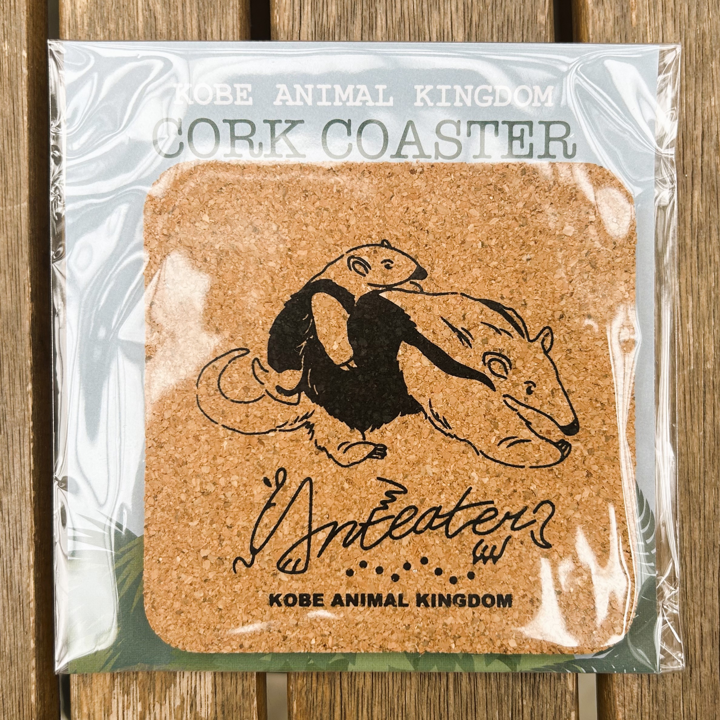 コルクコースター ミナミコアリクイ スクエア | 神戸どうぶつ王国NS